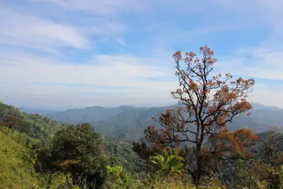 อุทยานแห่งชาติทองผาภูมิ รูปที่ 9