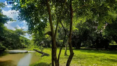สวนลุงกาย รูปที่ 2
