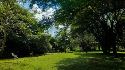 สวนลุงกาย รูปที่ 4