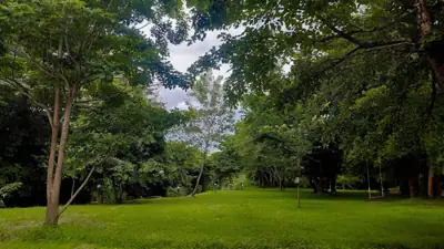 สวนลุงกาย รูปที่ 6