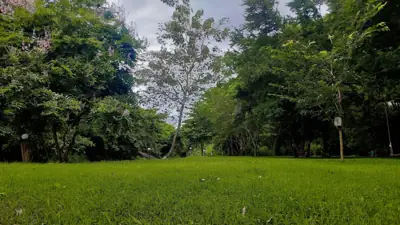 สวนลุงกาย รูปที่ 7