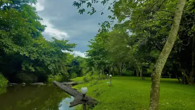 สวนลุงกาย รูปที่ 9
