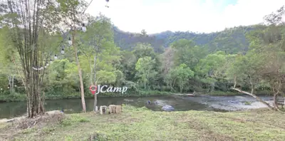 J camp ลานกางเต็นท์ & ห้องพัก รูปที่ 7