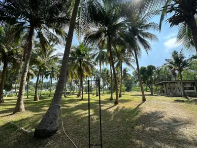 ติดเกาะแคมป์กาญ รูปที่ 6