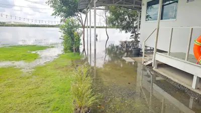 Nonthaburi Camping & Cafe รูปที่ 10