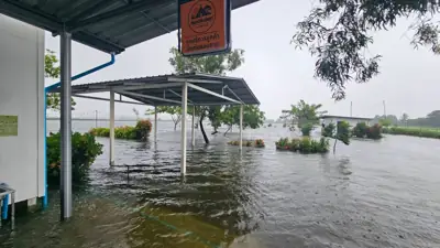 Nonthaburi Camping & Cafe รูปที่ 3