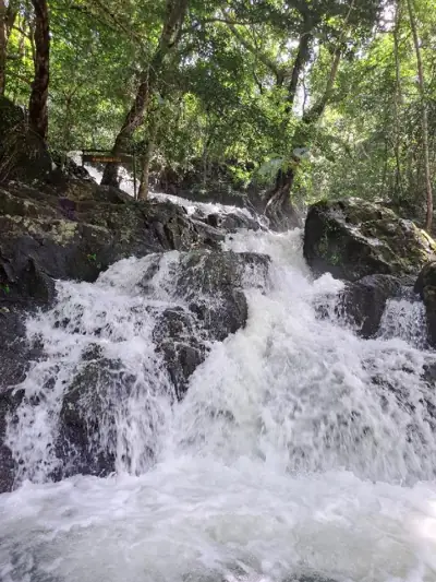ลานกางเต็นท์อุทยานแห่งชาติเจ็ดคด-โป่งก้อนเส้า (เตรียมการ) รูปที่ 3