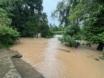 อัสซาน่า เขาใหญ่ รูปที่ 2