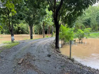 อัสซาน่า เขาใหญ่ รูปที่ 3