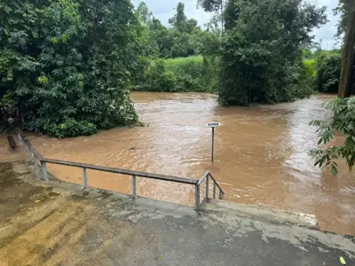 อัสซาน่า เขาใหญ่ รูปที่ 9