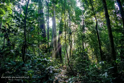 ลานกางเต็นท์ ที่ทำการอุทยานแห่งชาติกุยบุรี รูปที่ 4