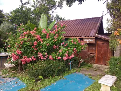 บ้านทองคำรีสอร์ท วังน้ำเขียว รูปที่ 1