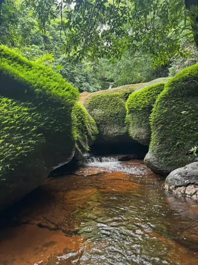 ลานกางเต็นท์ภูลังกา-นครพนม รูปที่ 10