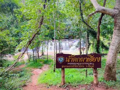 ลานกางเต็นท์ตาดโตน รูปที่ 4