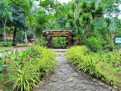 ลานกางเต็นท์ตาดโตน รูปที่ 6