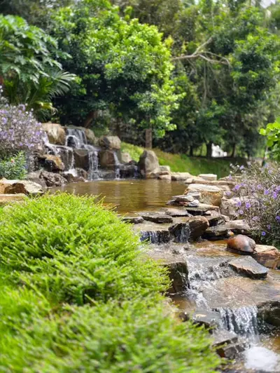 River Time camp รูปที่ 1