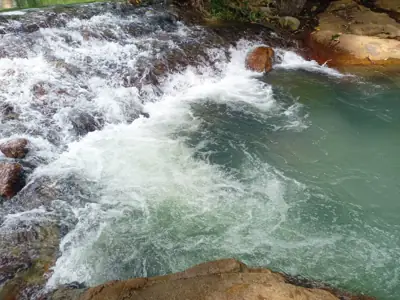 บ้านสวนธารริมภู รูปที่ 6