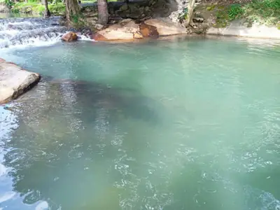 บ้านสวนธารริมภู รูปที่ 9