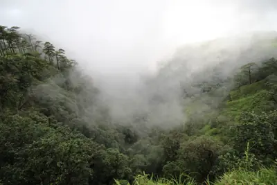 ลานกางเต็นท์สอยดาว (ที่ทำการฯ) รูปที่ 3