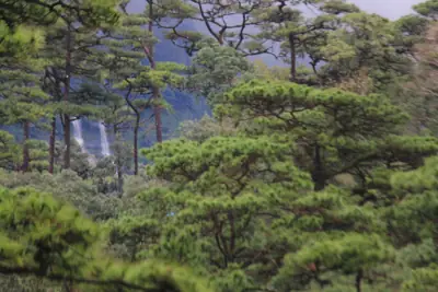 ลานกางเต็นท์สอยดาว (ที่ทำการฯ) รูปที่ 4
