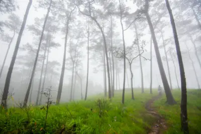 ลานกางเต็นท์สอยดาว (ที่ทำการฯ) รูปที่ 5