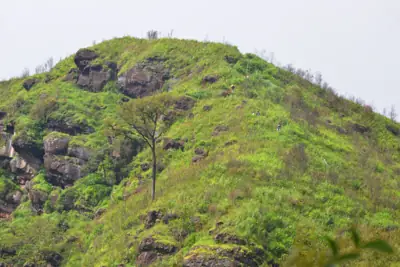 ลานกางเต็นท์สอยดาว (ที่ทำการฯ) รูปที่ 7