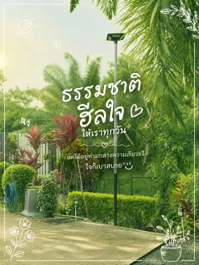 วิทูล แคมป์ปิ้ง ฟาร์ม รูปที่ 5