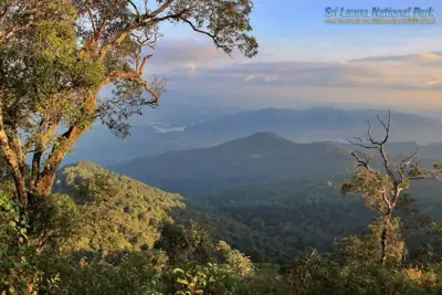 ลานกางเต็นท์ดอยม่อนล้าน อุทยานแห่งชาติศรีลานนา รูปที่ 4