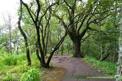 อุทยานแห่งชาติดอยสุเทพ-ปุย รูปที่ 2