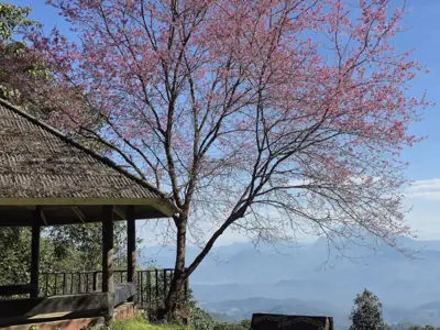 อุทยานแห่งชาติห้วยน้ำดัง รูปที่ 1