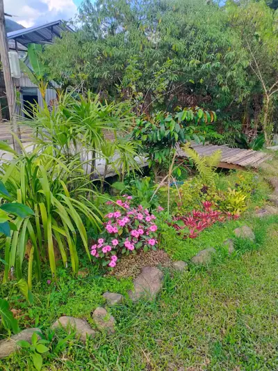 บ้านชโลม ดอยอินทนนท์ รูปที่ 1