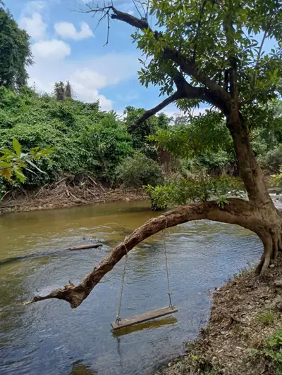 ภูริมธาร แคมป์ปิ้ง สวนผึ้ง รูปที่ 10
