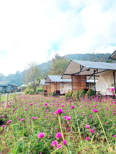Chernor Camp เฌอนอ รูปที่ 10