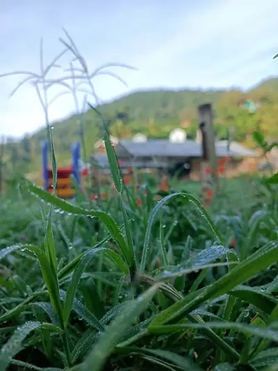 Chernor Camp เฌอนอ รูปที่ 2