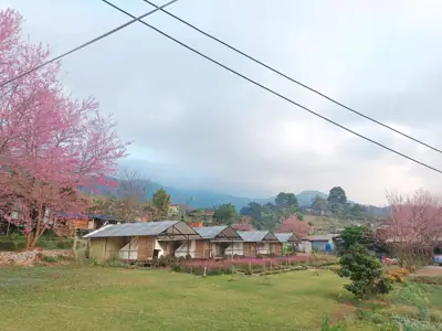 Chernor Camp เฌอนอ รูปที่ 3