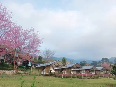 Chernor Camp เฌอนอ รูปที่ 4