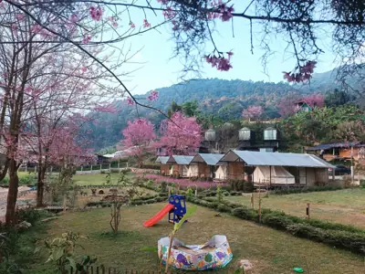 Chernor Camp เฌอนอ รูปที่ 5