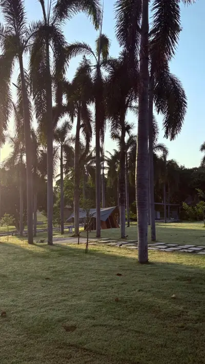 บ้านสวนริมน้ำท่ามะปราง รูปที่ 8