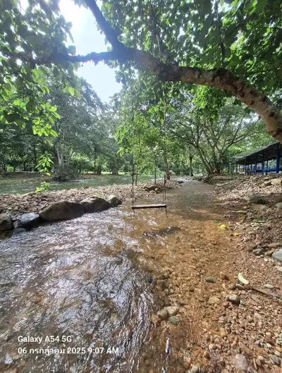 บ้านสวนดาราคลองมะเดื่อ รูปที่ 7