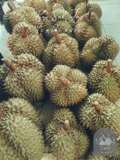ไร่สุขใจ รูปที่ 3
