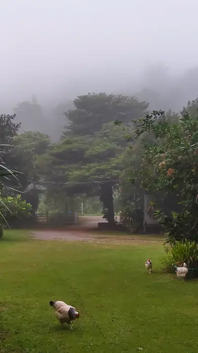 ภูธารา สวนผึ้ง รูปที่ 1