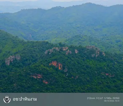 ลานกางเต็นท์อุทยานแห่งชาติป่าหินงาม รูปที่ 9