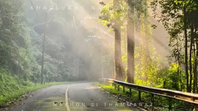 ลานกางเต็นท์ที่ทำการอุทยานแห่งชาติเขาหลวง (น้ำตกกะโรม) รูปที่ 5