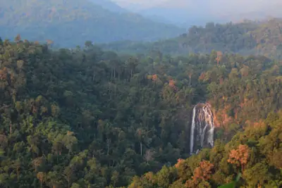 ลานกางเต็นท์บ้านเสือ รูปที่ 4