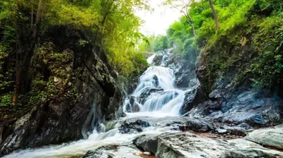 ลานกางเต็นท์ลานสาง รูปที่ 1