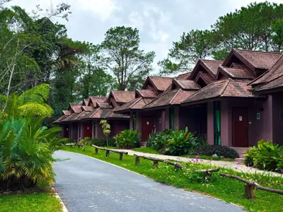 ลานดูดาว ลานดูเดือน ในอุทยานแห่งชาติดอยภูคา รูปที่ 5