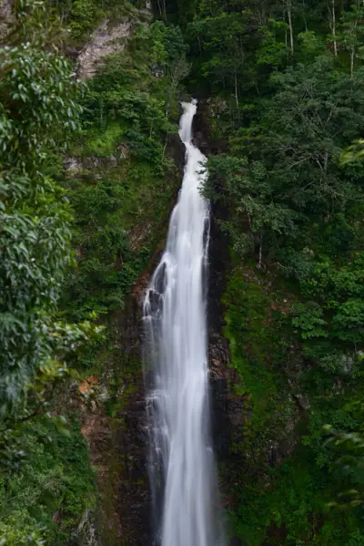 ลานกางเต็นท์แม่สุรินทร์ รูปที่ 1