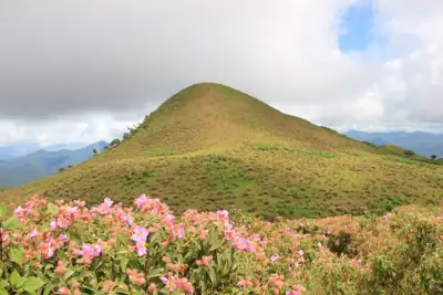 ลานกางเต็นท์แม่สุรินทร์ รูปที่ 2