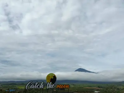 แคท เดอะ มูน รูปที่ 5