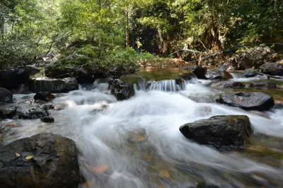 ลานกางเต็นท์ธารมะยม รูปที่ 6